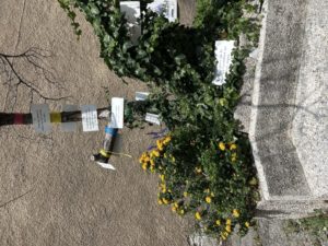 5ème jour Montolieu village des livres