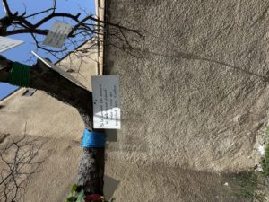 5ème jour Montolieu village des livres