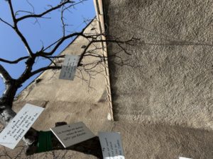 5ème jour Montolieu village des livres