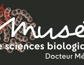 Musée Mérieux 27 novembre