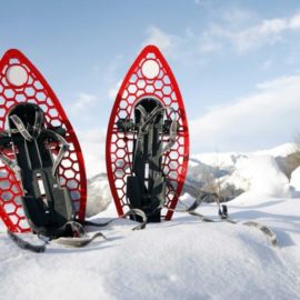 Journée raquettes jeudi 5 février