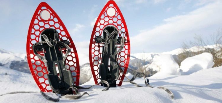 Journée raquettes jeudi 5 février Journée raquettes jeudi 5 février