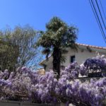 Le quartier de Montchat