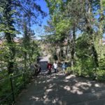 Le quartier de Montchat