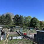 Le quartier de Montchat
