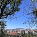 Le quartier de Montchat