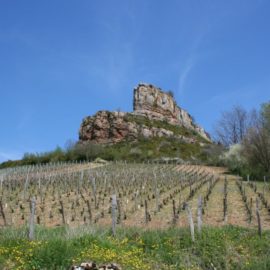 Journée marche jeudi 11 juin