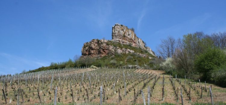 Journée marche jeudi 11 juin